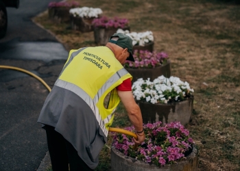 Eforturi pentru reducerea efectelor caniculei în spațiile verzi din Timișoara