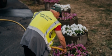 Eforturi pentru reducerea efectelor caniculei în spațiile verzi din Timișoara