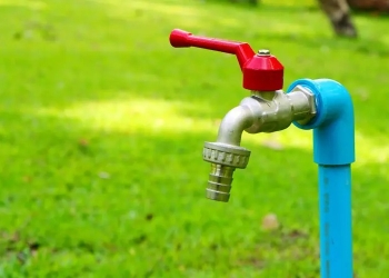 Aquatim: Apa din rețea nu este pentru udatul grădinilor!