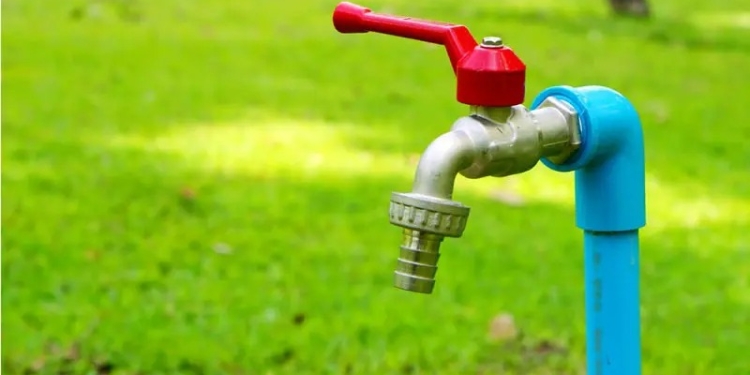 Aquatim: Apa din rețea nu este pentru udatul grădinilor!