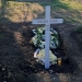 Nicu Covaci, înmormântat în Cimitirul Eroilor din Timișoara, miercuri seara