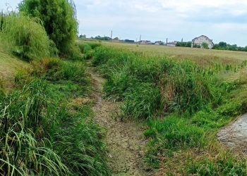 Râuri din Banat, secate din cauza precipitațiilor scăzute