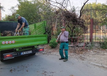 Spațiile verzi din Timișoara, îngrijite constant de primărie FOTO