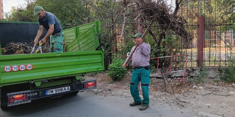 Spațiile verzi din Timișoara, îngrijite constant de primărie FOTO