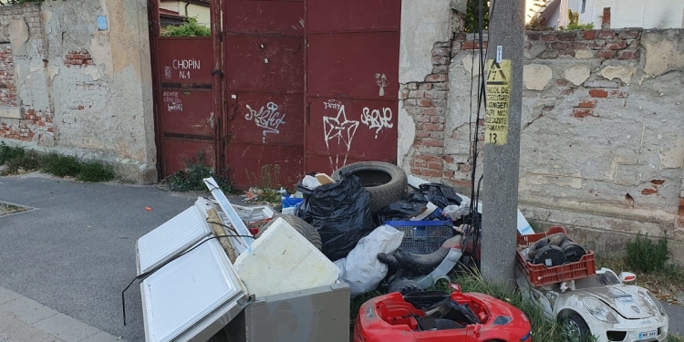 Anvelope uzate, frigidere stricate sau saci de deșeuri abandonate pe stradă de un timișorean prins de polițiștii locali