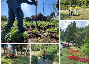 Internship pentru studenți la societatea Horticultura din Timișoara