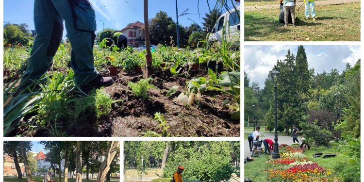 Internship pentru studenți la societatea Horticultura din Timișoara