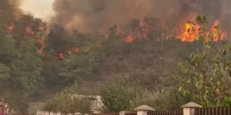 Președintele CJ Caraș-Severin, Romeo Dunca: „Situația incendiilor din jurul Reșiței e scăpată de sub control!”