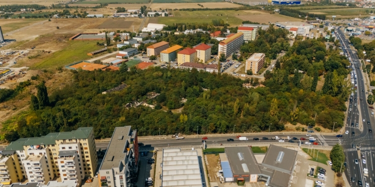 Primăria Timișoara face curățenie pe un teren imens din nordul orașului FOTO