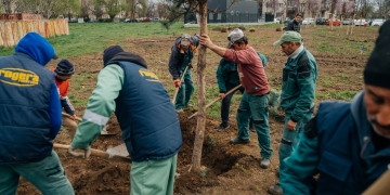 Primăria Timișoara lansează campania de plantări de toamnă! Vor fi sădiți peste 2.500 de arbori tineri