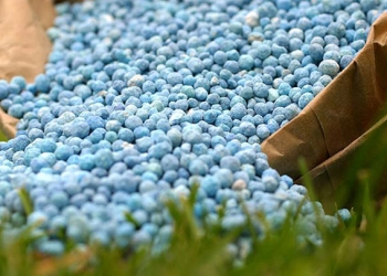 Cantitate uriașă de îngrășământ chimic, depozitată direct pe sol, în Timiș! Polițiștii au întocmit un dosar penal