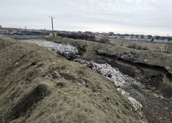 Victorie în instanță a Primăriei Timișoara împotriva afaceriștilor cu deșeuri din construcții