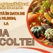 Ziua Recoltei la Sânmihaiu Român, în weekend: preparate la ceaun și muzică populară