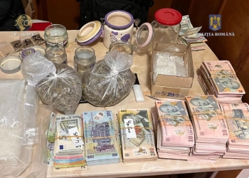 Cultură de canabis descoperită în apropiere de Deta. Un tânăr a fost arestat