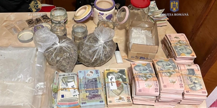 Cultură de canabis descoperită în apropiere de Deta. Un tânăr a fost arestat