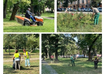 Societatea timișoreană Horticultura face angajări