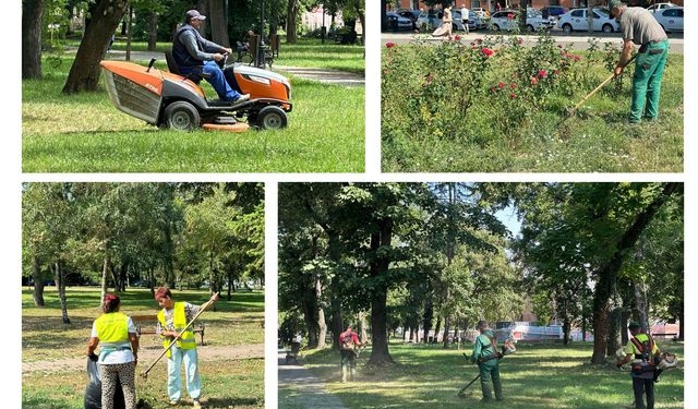 Societatea timișoreană Horticultura face angajări