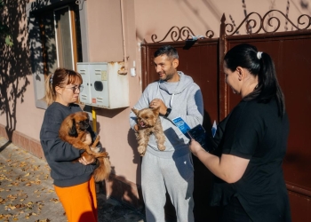 Zeci de căței înregistrați la recensământul canin de la Timișoara