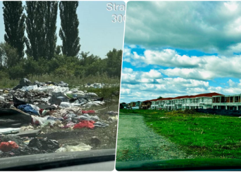Teren din Timișoara transformat în rampă ilegală de gunoaie, curățat de primărie