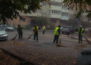 Timișoara curățată de frunze