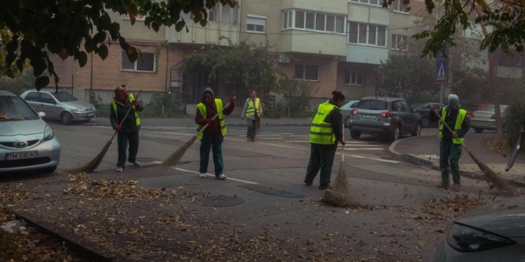 Timișoara curățată de frunze