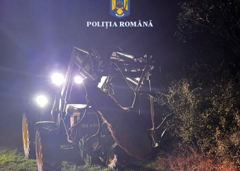 Cerb carpatin, ucis ilegal pe un fond de vânătoare din județul Timiș