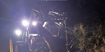 Cerb carpatin, ucis ilegal pe un fond de vânătoare din județul Timiș