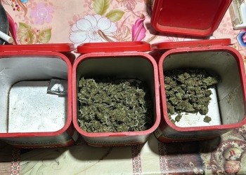 12 tineri, arestați preventiv pentru trafic de droguri, în urma perchezițiilor realizate în Lugoj și Făget