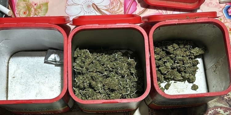 12 tineri, arestați preventiv pentru trafic de droguri, în urma perchezițiilor realizate în Lugoj și Făget