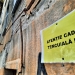 Atenție, puterea vântului ar putea să dărâme bucăți din clădiri. O femeie din Timișoara a ajuns la spital