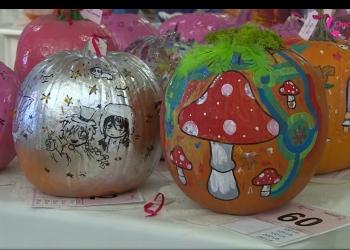 Asociația OncoHelp organizează o nouă ediție a balului de caritate „Dovleacul Roz”, la Timișoara