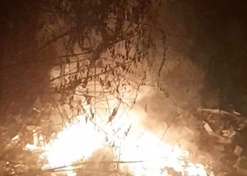 Un timișorean și-a dat focul propriului portofel. A încasat o amendă de zeci de mii de lei