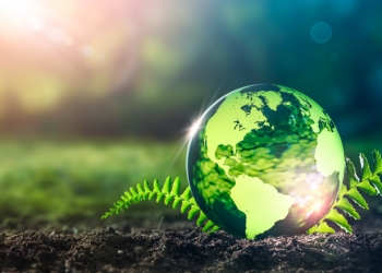 Amenzi de peste 300.000 lei aplicate de Garda de Mediu Timiș în luna octombrie