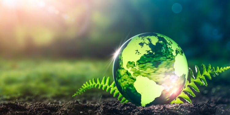 Amenzi de peste 300.000 lei aplicate de Garda de Mediu Timiș în luna octombrie