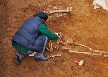 Oase învelite în pânză găsite pe un șantier din Timișoara. Polițiștii au deschis o anchetă