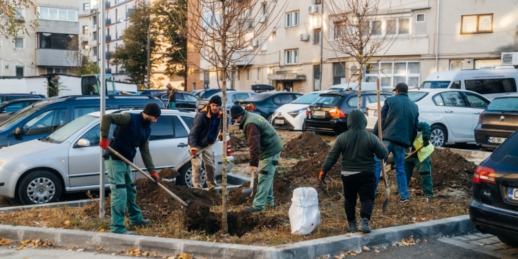 A început campania de toamnă pentru înverzirea Timișoarei FOTO