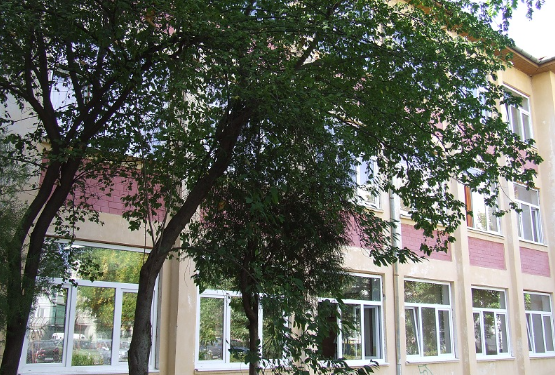 Primăria Timișoara reabilitează termic Școala 24 din cartierul Dacia și construiește o nouă sală de sport