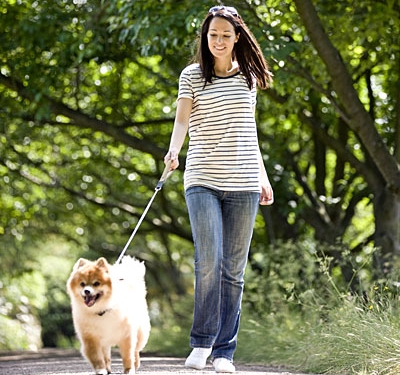 Proprietarii de câini din Săcălaz, luați „la puricat” de polițiști