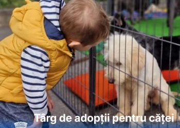 Un nou târg de adopții canine, la Timișoara