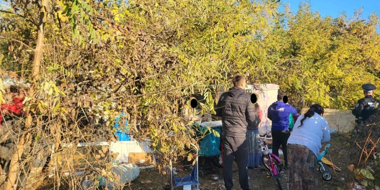 Cu coliba și cortul, aproape de centrul Timișoarei