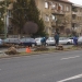 Perdea de arbori pe unul dintre cele mai circulate bulevarde din Timișoara