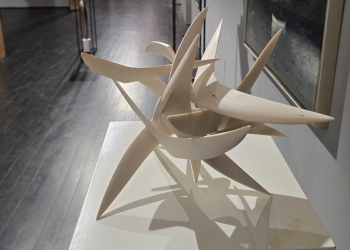 Începe Salonul Anual al Artelor Vizuale, la Timișoara FOTO