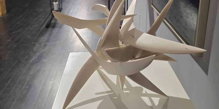 Începe Salonul Anual al Artelor Vizuale, la Timișoara FOTO