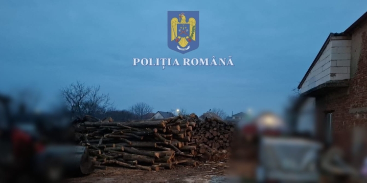 Percheziții în Timiș, la persoane care au tăiat ilegal arbori