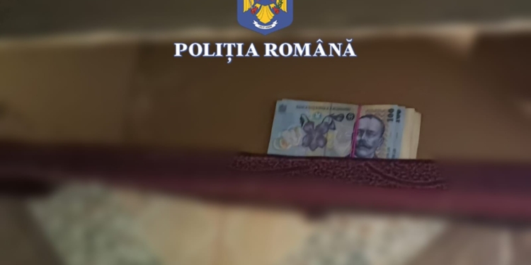 Bărbat din Iași, prins de polițiști după ce a furat bani dintr-o mașină parcată într-un sat din Timiș
