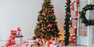 Timișorenii pot pune brazii de Crăciun lângă pubela neagră, pentru a fi ridicați