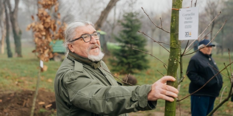 Plantări de stejari în Parcul „Andrei Mocioni” din Timișoara în amintirea luptei pentru libertate din ‘89