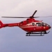 Accident grav în Timiș! 5 mașini implicate, două victime, un elicopter a fost solicitat