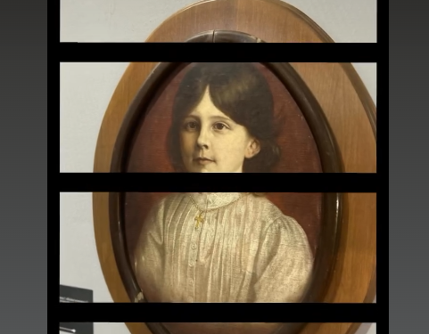 Șapte expoziții organizate de Muzeul Național al Banatului în luna noiembrie