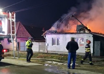 Agoniseala de o viață a unei familii din Denta, făcută scrum